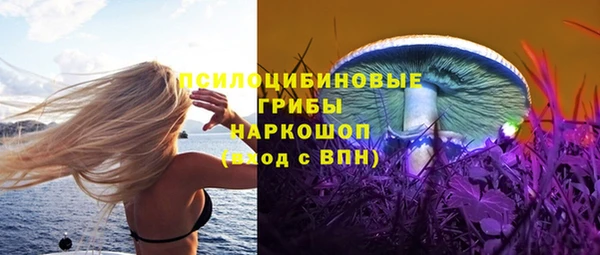 спайс Баксан